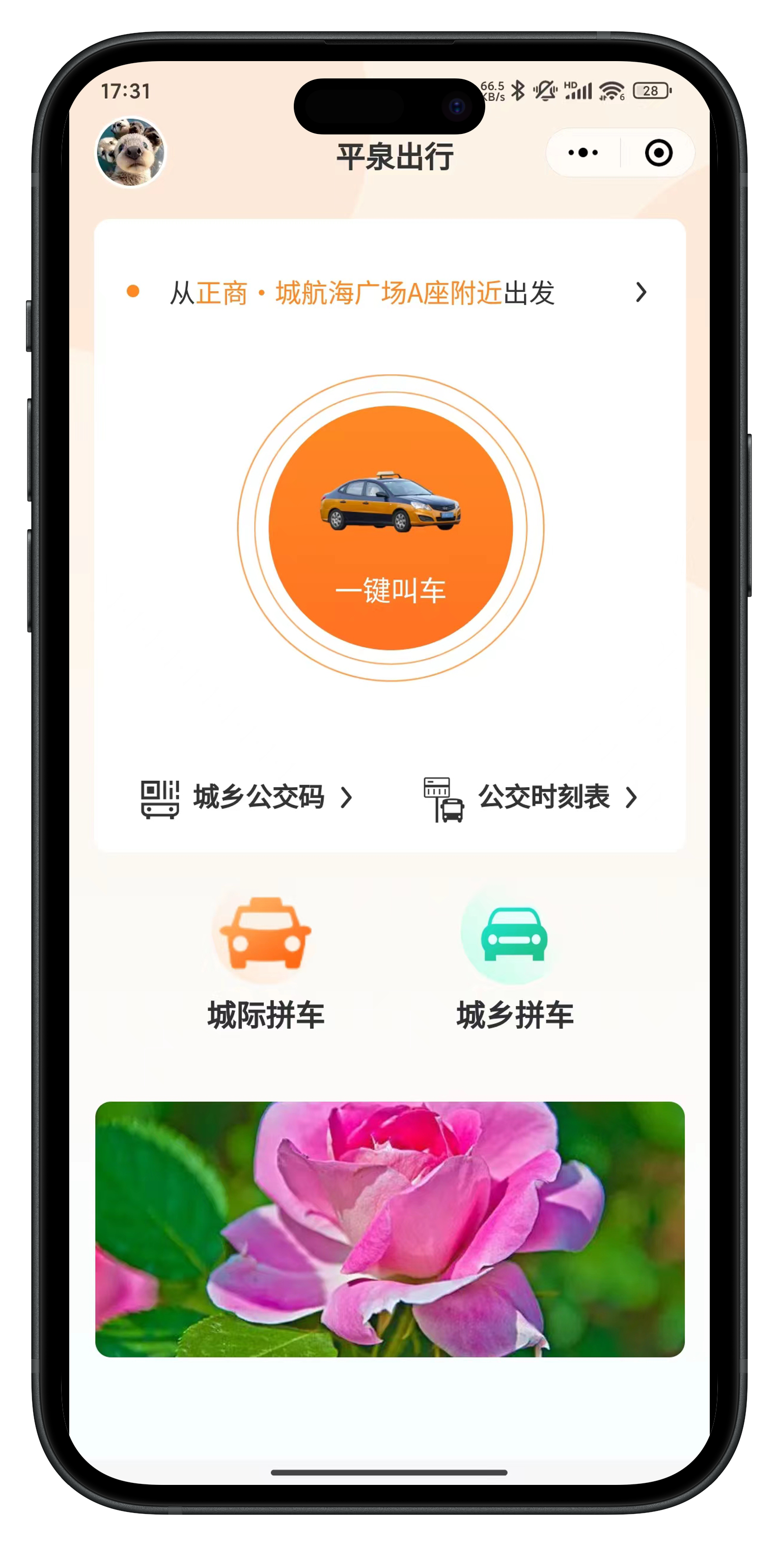 主图